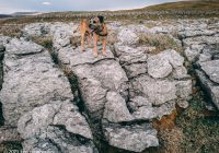 Malham Moor – Wild Camp #007