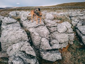 Malham Moor – Wild Camp #007