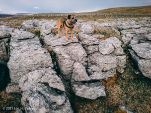 Malham Moor – Wild Camp #007