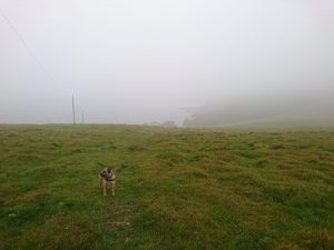 Middle House Hill – Wild Camp #004