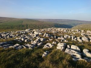 Middle House Hill – Wild Camp #004