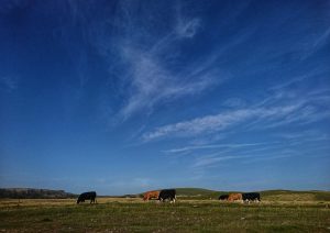 Middle House Hill – Wild Camp #004