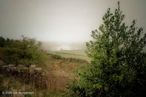 Misty Mystery Meander