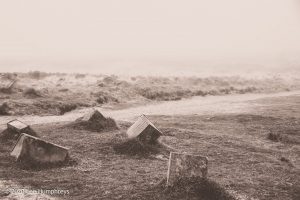 Misty Mystery Meander