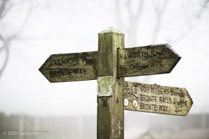 Misty Mystery Meander