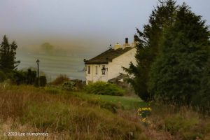 Misty Mystery Meander