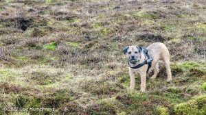 Mossdale Scar, Grassington – Wild Camp #029