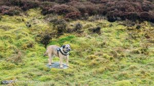 Mossdale Scar, Grassington – Wild Camp #029