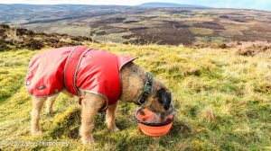 Mossdale Scar, Grassington – Wild Camp #029
