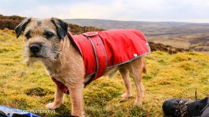 Mossdale Scar, Grassington – Wild Camp #029
