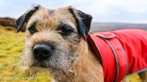 Mossdale Scar, Grassington – Wild Camp #029