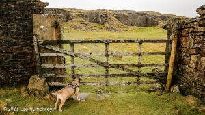 Mossdale Scar, Grassington – Wild Camp #029