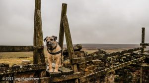 Mossdale Scar, Grassington – Wild Camp #029