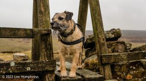Mossdale Scar, Grassington – Wild Camp #029