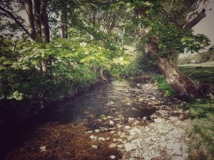 Mudlarking Adventure along the River Worth