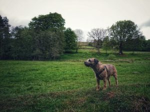 Mudlarking Adventure along the River Worth