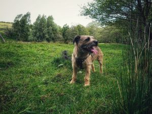 Mudlarking Adventure along the River Worth