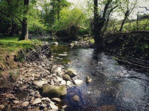Mudlarking Adventure along the River Worth