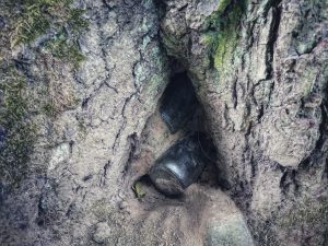 Mudlarking Adventure along the River Worth