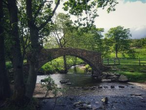 Mudlarking Adventure along the River Worth