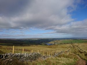 Nab Hill Trig Point Trek