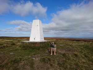 Nab Hill Trig Point Trek