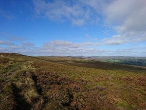 Nab Hill Trig Point Trek