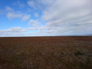 Nab Hill Trig Point Trek