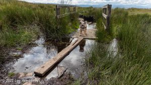 Nine Standards Rigg – Wild Camp #033