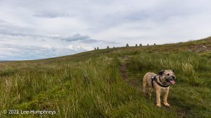 Nine Standards Rigg – Wild Camp #033