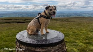 Nine Standards Rigg – Wild Camp #033