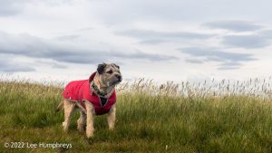 Nine Standards Rigg – Wild Camp #033