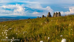 Nine Standards Rigg – Wild Camp #033