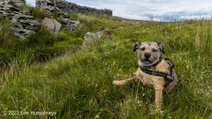 Nine Standards Rigg – Wild Camp #033