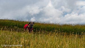 Nine Standards Rigg – Wild Camp #033