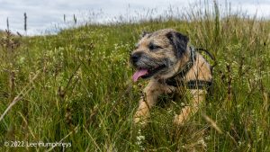 Nine Standards Rigg – Wild Camp #033