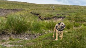 Nine Standards Rigg – Wild Camp #033