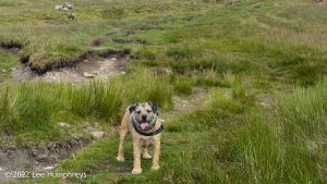 Nine Standards Rigg – Wild Camp #033