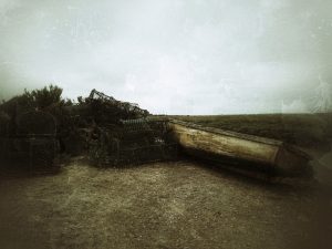 Norfolk 2017