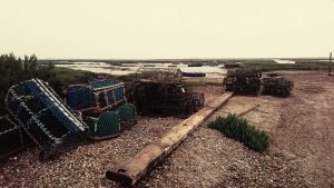 Norfolk 2017