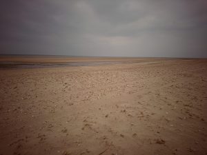 Norfolk 2017