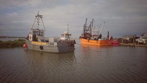 Norfolk 2017