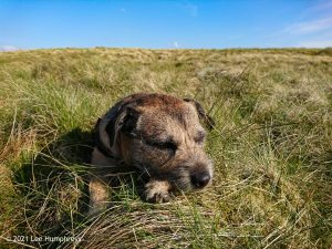 Parson’s Pulpit – Wild Camp #008
