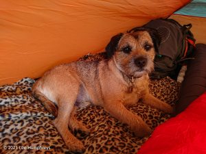 Parson’s Pulpit – Wild Camp #008