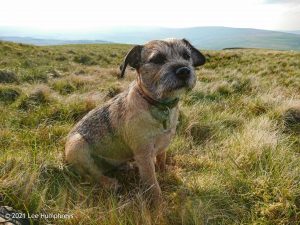 Parson’s Pulpit – Wild Camp #008