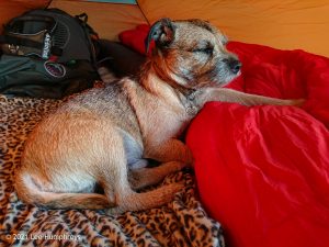 Parson’s Pulpit – Wild Camp #008