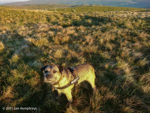 Parson’s Pulpit – Wild Camp #008