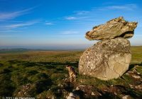 Parson’s Pulpit – Wild Camp #008