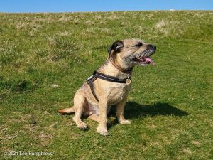 Parson’s Pulpit – Wild Camp #008