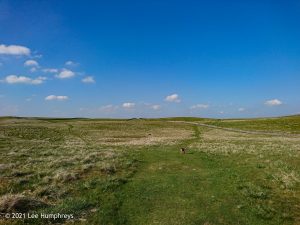 Parson’s Pulpit – Wild Camp #008